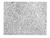 Polyethylene PE Separator for lithium batteries